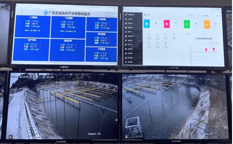 花都區(qū) 科技興漁啟新程，人工智能與“芯片魚(yú)”引領(lǐng)智慧漁業(yè)探索